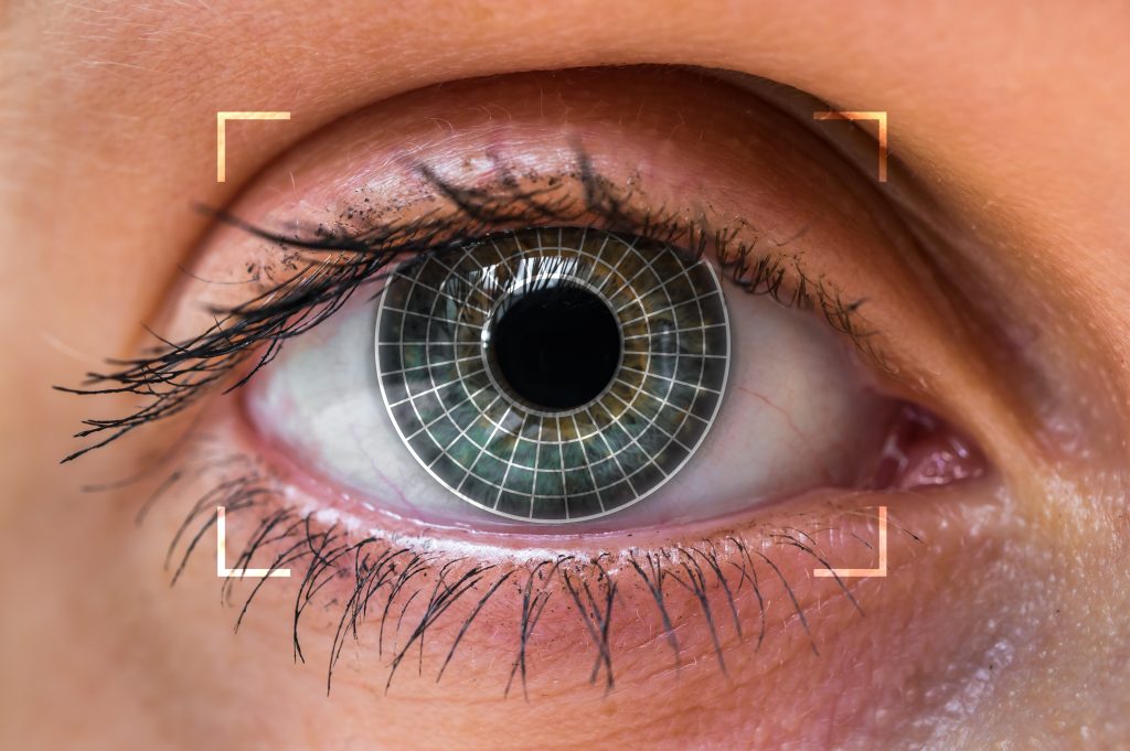 Human eye scanning and recognition - biometric identification concept